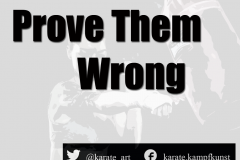 prove them wrong kartequote, karatequotes, quote, quotes