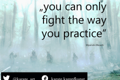 You can only fight the way you practice. kartequote, karatequotes, quote, quotes
