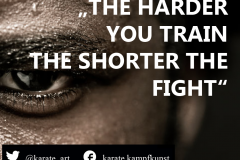 the harder you train, the shorter the fight. kartequote, karatequotes, quote, quotes