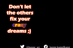Don't let the others fix your crazy dreams. karate-quote-54 kartequote, karatequotes, quote, quotes