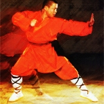 Shifu Yan Lei