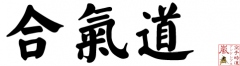 aikido