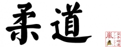 judo