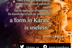 karate-quote-21 kartequote, karatequotes, quote, quotes