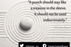 A punch should stay like a tresure in the sleeve. It should not be used indicrimately. karate-quote-31 kartequote, karatequotes, quote, quotes