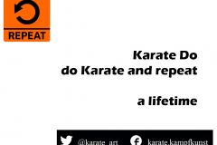 Karate Do, do karate and repeat, a lifetime. karate-quote-36 kartequote, karatequotes, quote, quotes