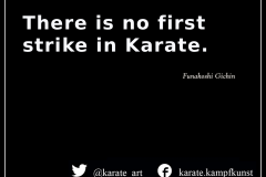 There is no first strike in Karate. karate-quote-48 kartequote, karatequotes, quote, quotes