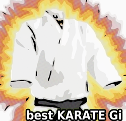 bester karate anzug