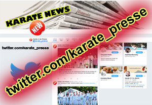 karate-in-der-presse-klein