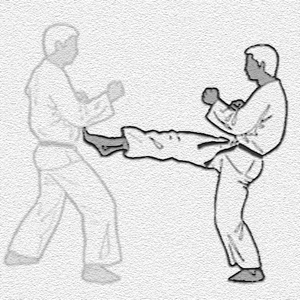 karate-kata-bild