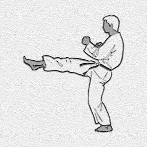 karate-kihon-bild