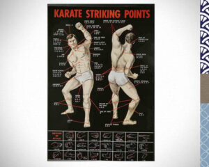 karate-vitalpunkte-poster
